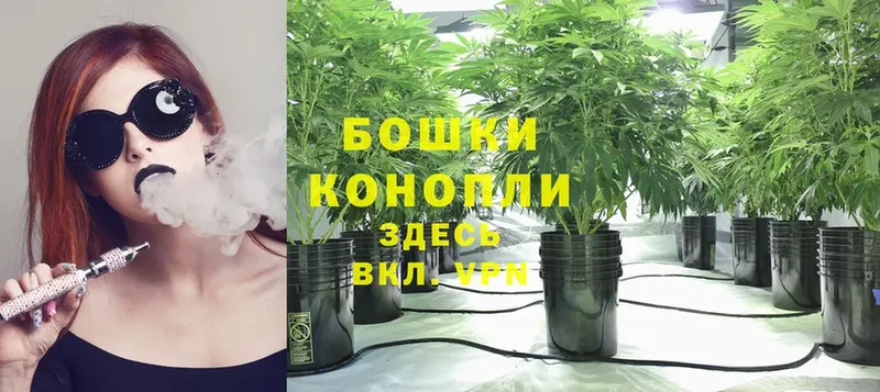 купить  сайты  Сортавала  Канабис OG Kush 